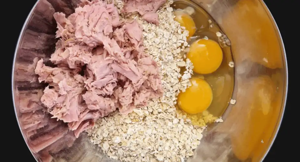 Thunfischfrikadellen
