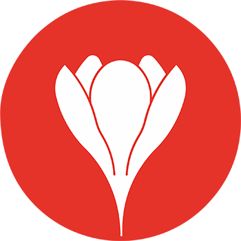Logo icon 350