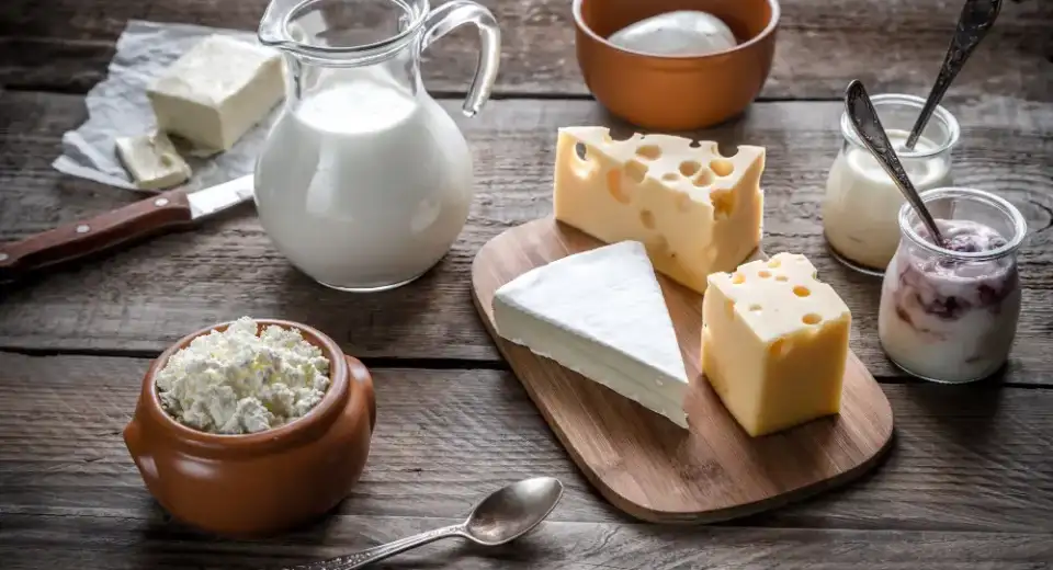 Quark michl jogurt skyr
