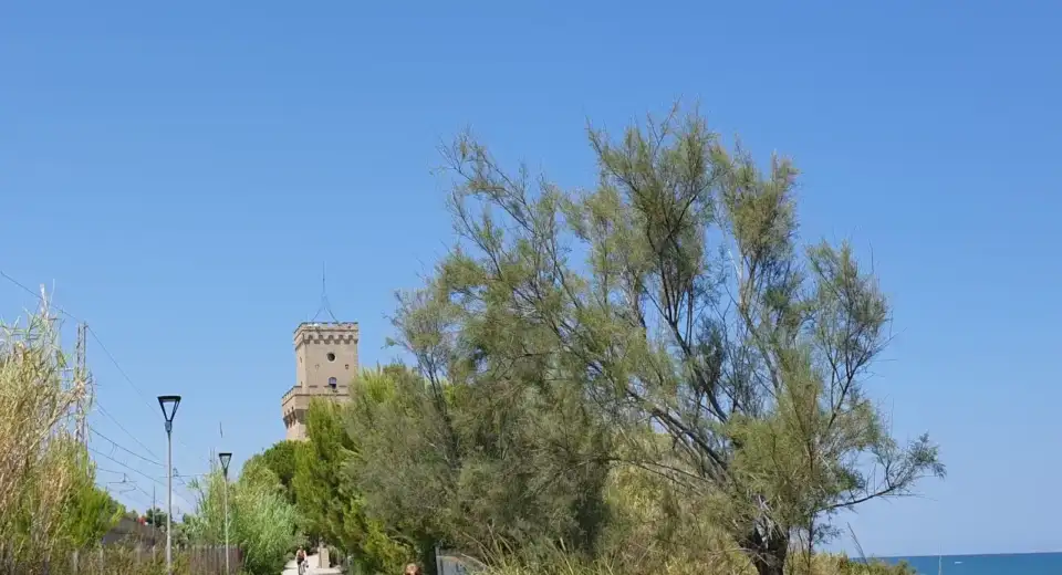 Turm