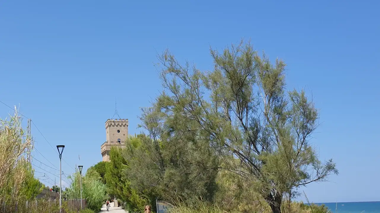 Turm