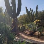 Mein Urlaub in Marokko und mein Besuch zur Gerberei in Marrakesch