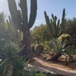 Medersa Ben Youssef: Mein Besuch in Marrakesch