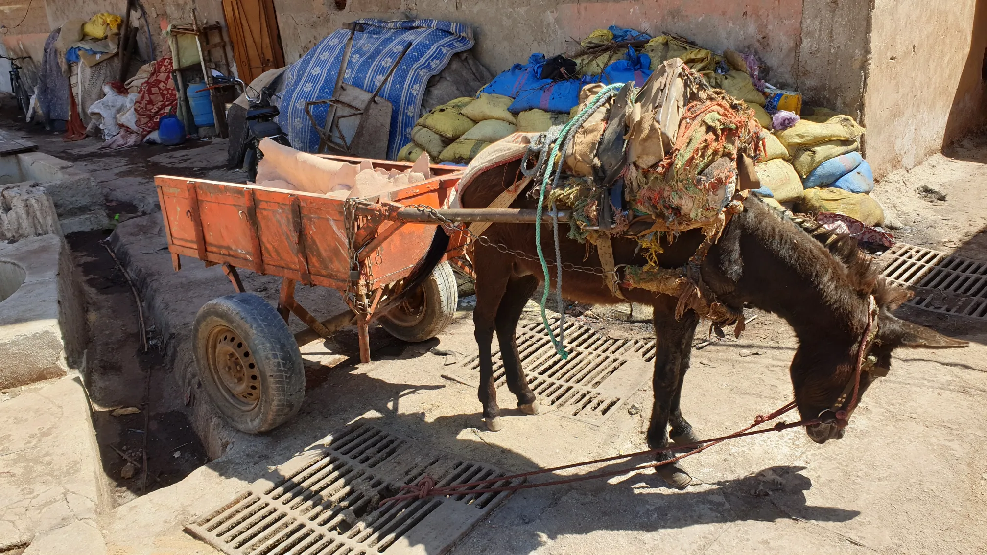 Mein Urlaub in Marokko und mein Besuch zur Gerberei in Marrakesch