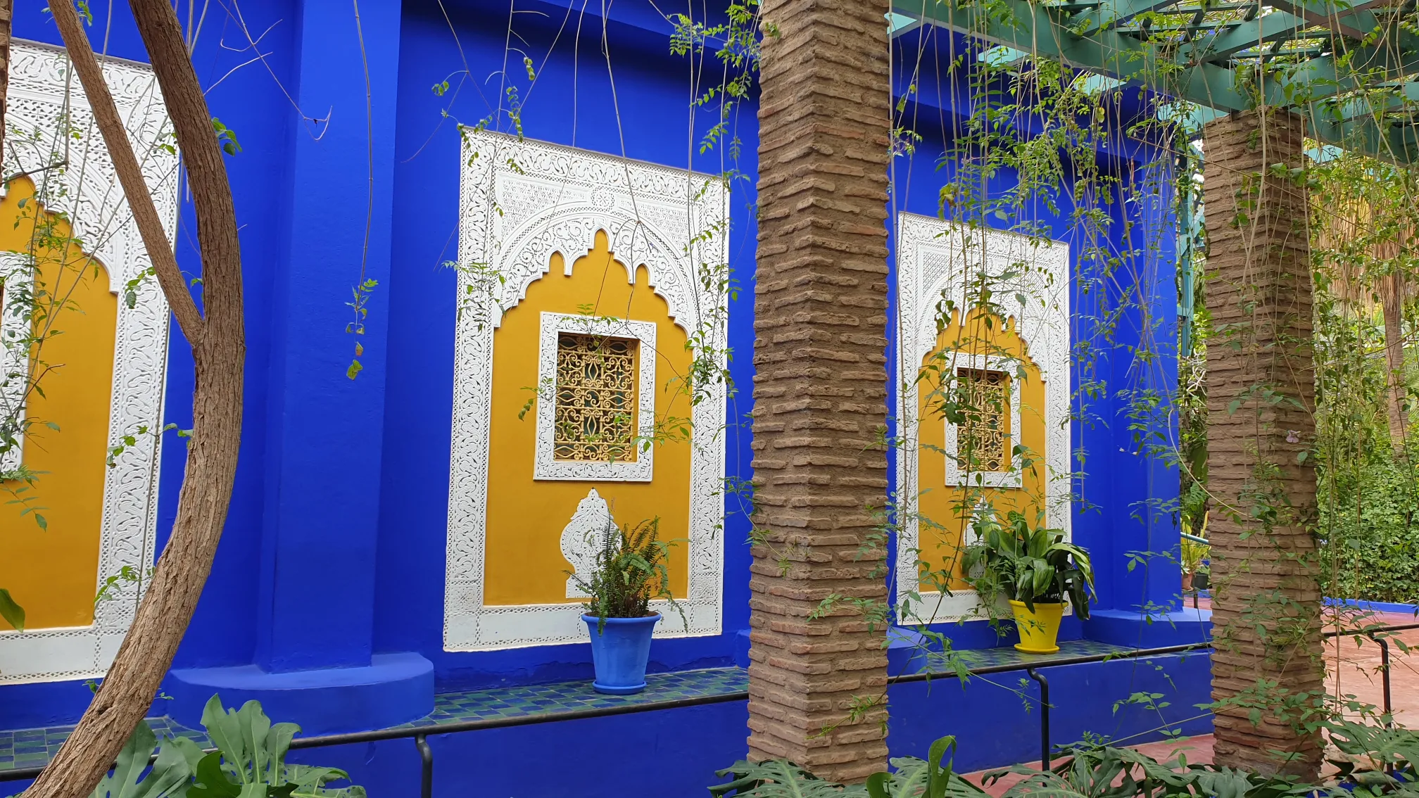 Mein Urlaub in Marokko: Ein unvergesslicher Tagesausflug in den Jardin Majorelle